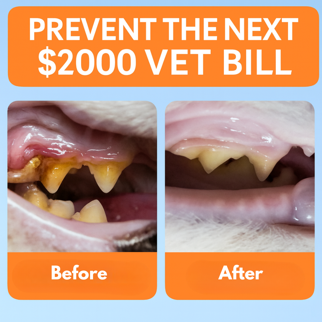 Oxer Vet‑Grade Dental Defense