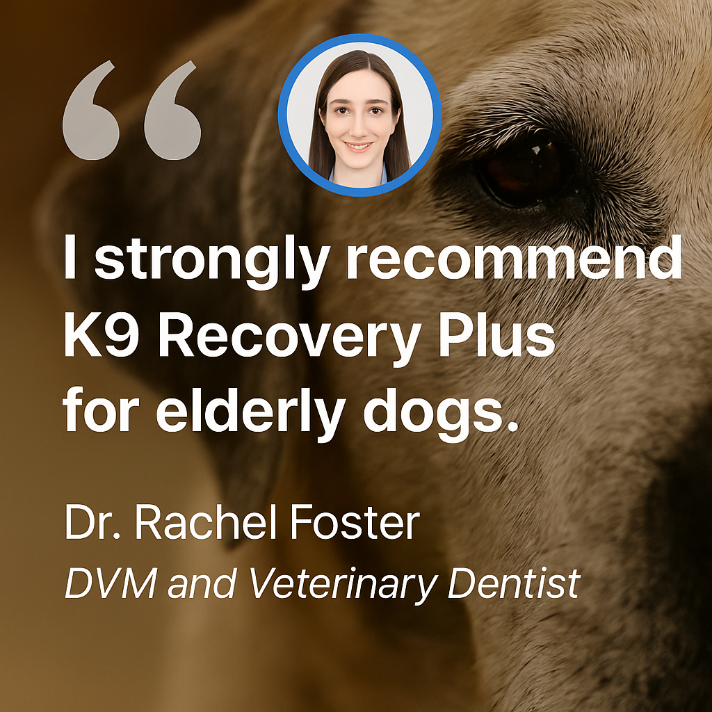 K9 Recovery Plus