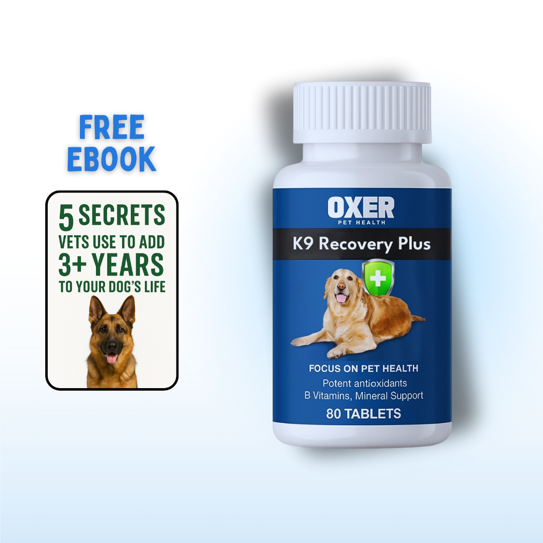 K9 Recovery Plus