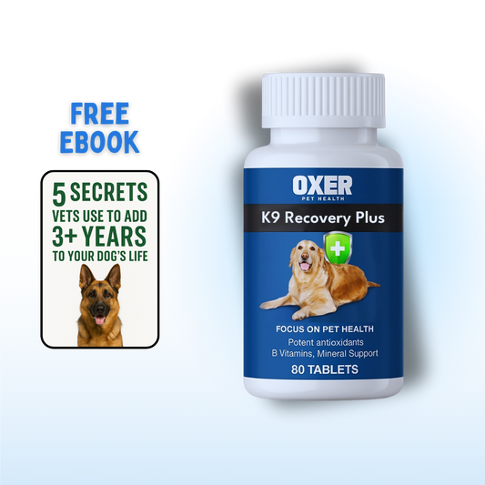 K9 Recovery Plus
