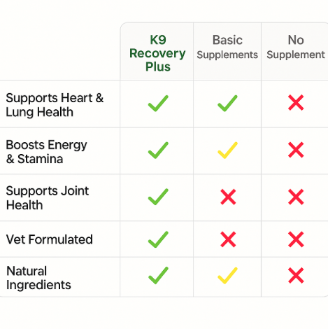 K9 Recovery Plus