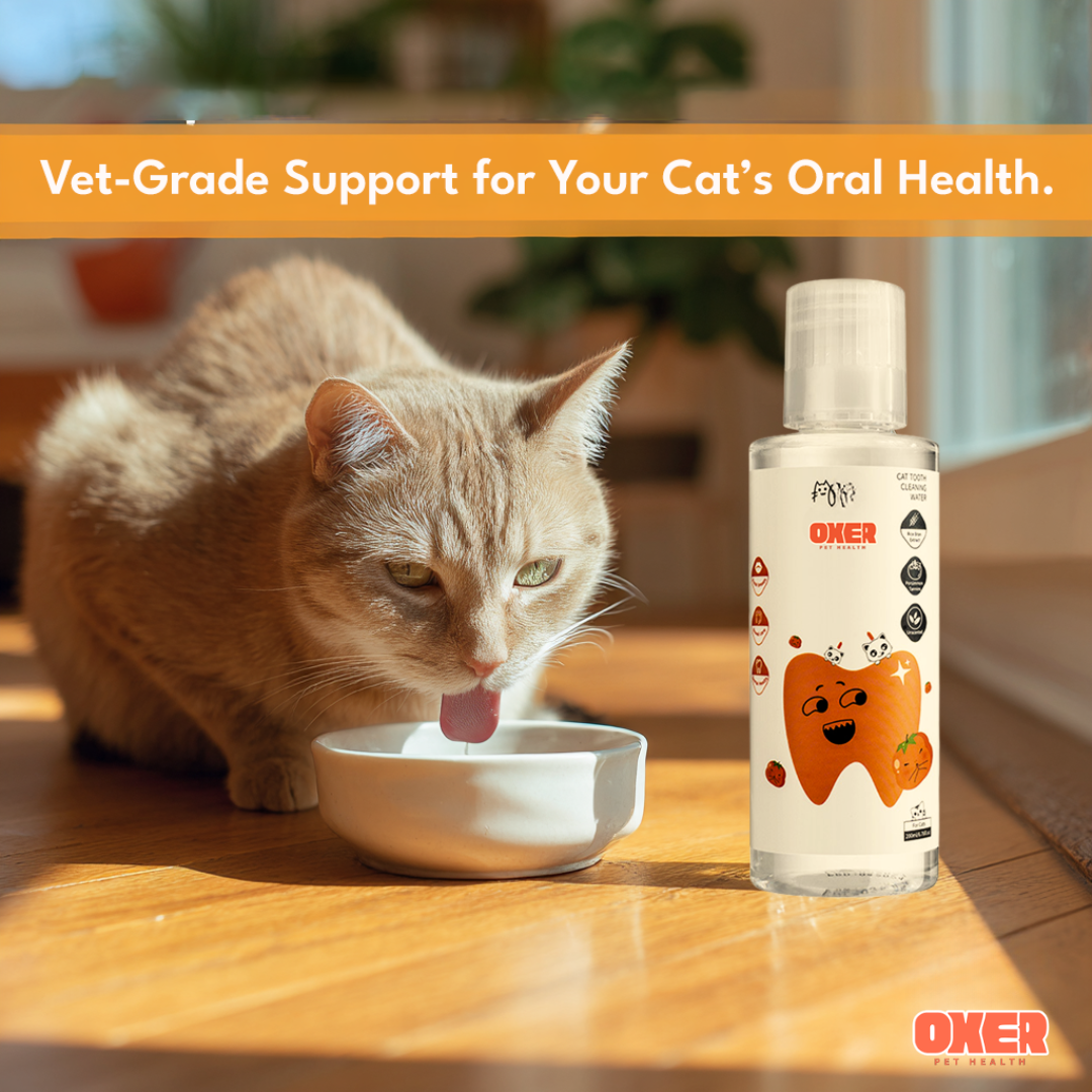 Oxer Vet‑Grade Dental Defense